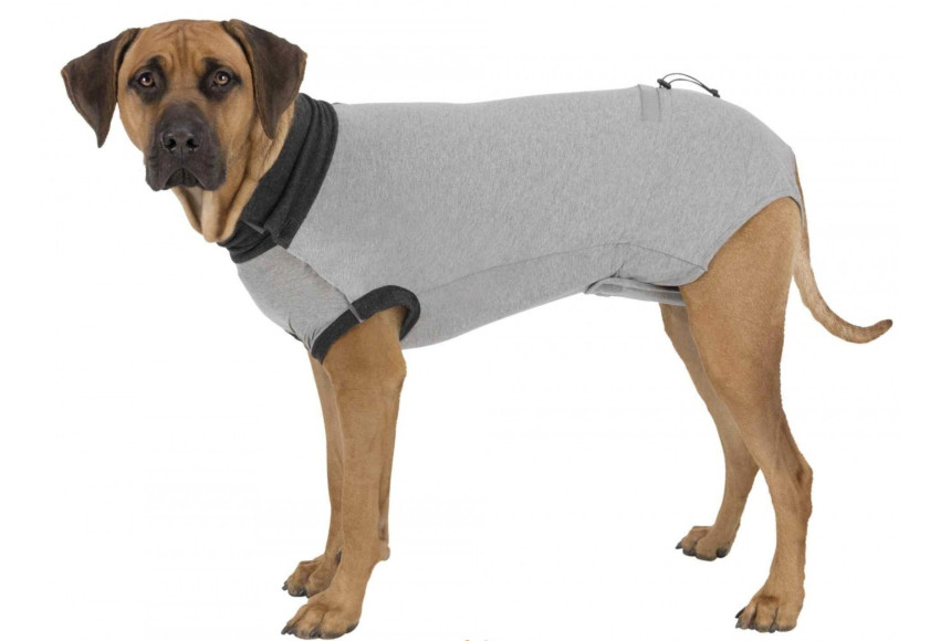 NOUVEAUTE : BODY DE PROTECTION POUR CHIEN